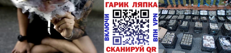 ГАШ Изолятор  Бокситогорск 