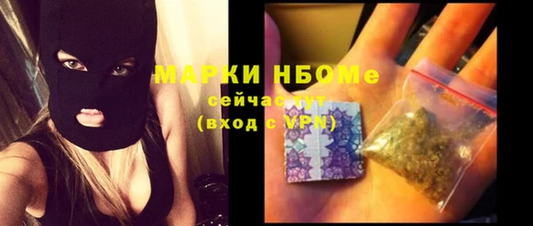 хмурый Алзамай
