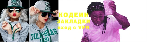 хмурый Алзамай