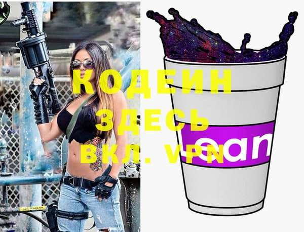 хмурый Алзамай