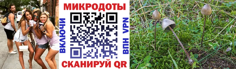 Галлюциногенные грибы MAGIC MUSHROOMS  где продают наркотики  Бокситогорск 