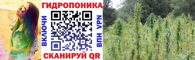 Конопля OG Kush Бокситогорск